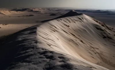 Illustration dorsum - Image 1