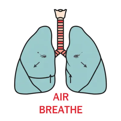 Illustration breathe - Image 1