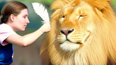 Illustration trifled - Image 1