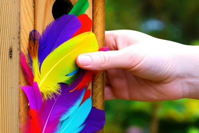 Illustration feathering