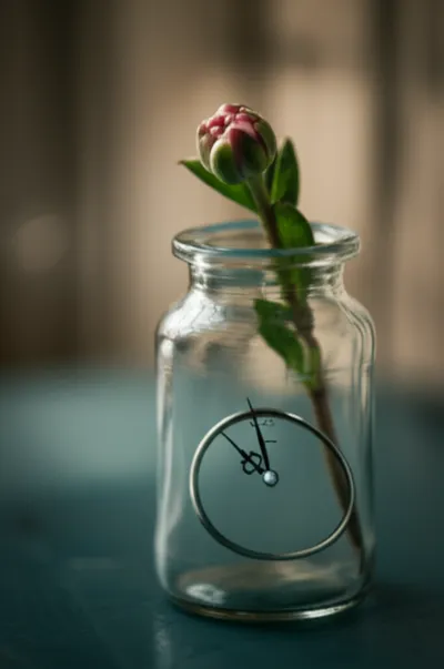 Illustration inside - Image 1