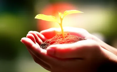 Illustration remembering - Image 1