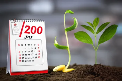 Illustration accelerated - Image 1