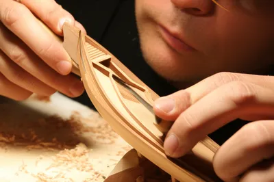 Illustration ply - Image 1