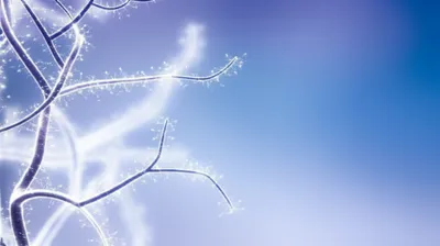 Illustration neuronal