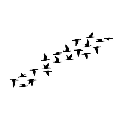 Illustration collective - Image 1