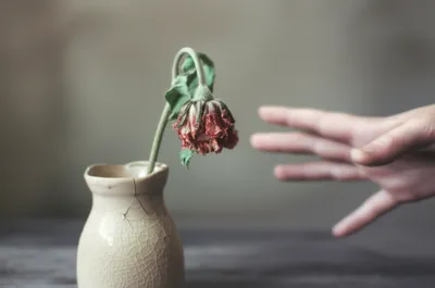 Illustration badly - Image 1