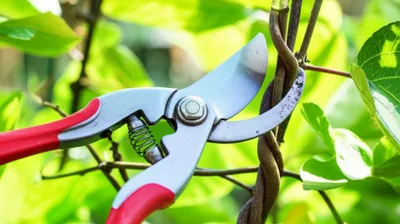 Illustration practical - Image 1