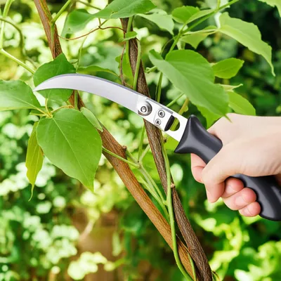 Illustration billhook - Image 1