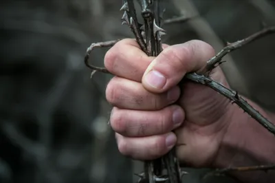 Illustration gripes - Image 1