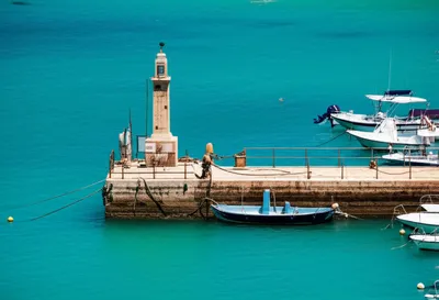 Illustration dolphins - Image 1