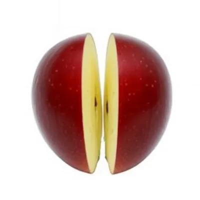 Illustration halved - Image 1