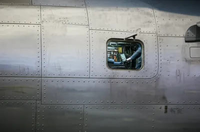 Illustration hatch - Image 1