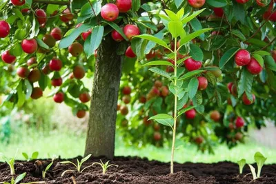 Illustration makes - Image 1