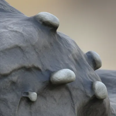 Illustration protrusions