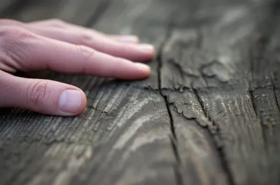 Illustration chapped - Image 1