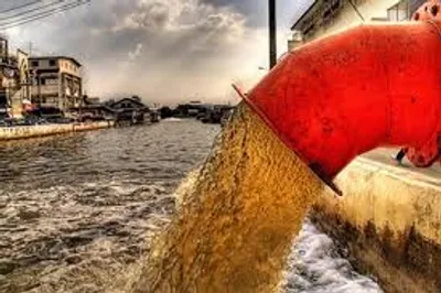 Illustration soil - Image 2