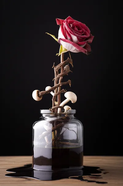 Illustration complication - Image 1