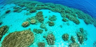 Illustration clearest - Image 1