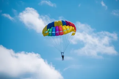 Illustration canopy - Image 1