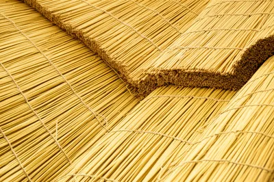 Hình ảnh minh họa thatching - Ảnh 1