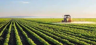 Illustration arable - Image 2