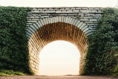 Illustration trust - Image 1