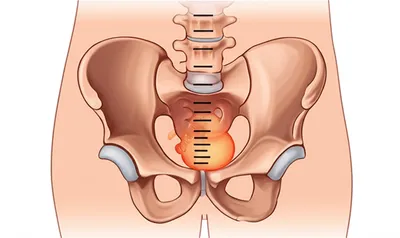 Illustration station - Image 1