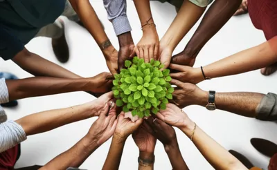 Illustration syndicate - Image 1