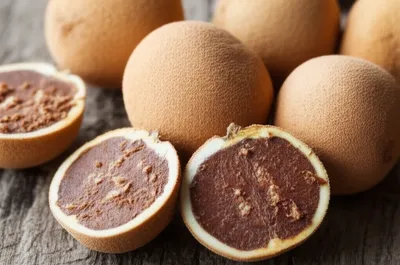 Illustration sapodilla - Image 1