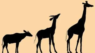 Illustration descend - Image 2