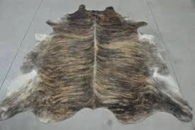 Illustration fell - Image 2