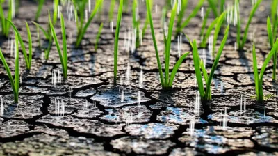 Illustration imbibing - Image 1