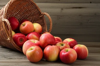 Illustration pile - Image 1