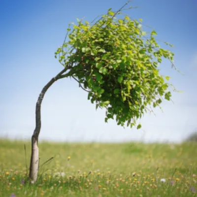 Illustration bending - Image 1