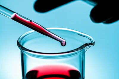 Illustration test - Image 1