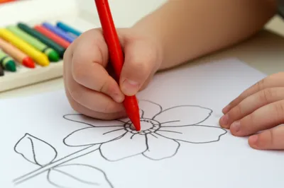 Illustration colours - Image 1