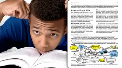 Illustration ponies - Image 1