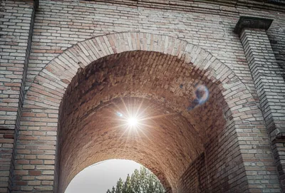 Illustration corroborated - Image 1