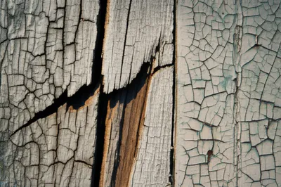 Illustration checks - Image 1