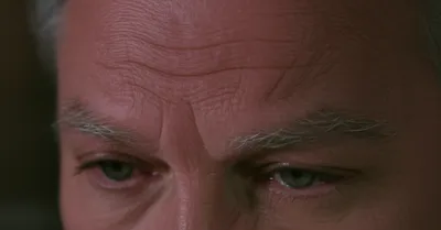 Hình ảnh minh họa furrowed - Ảnh 1