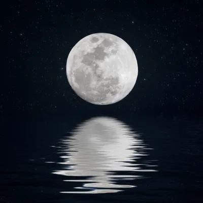 Illustration complement - Image 1