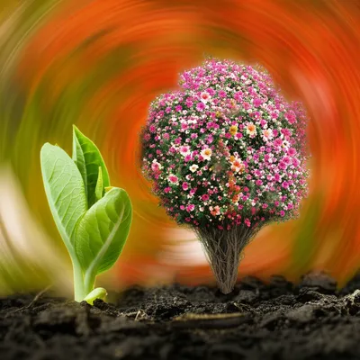 Illustration accelerates - Image 1