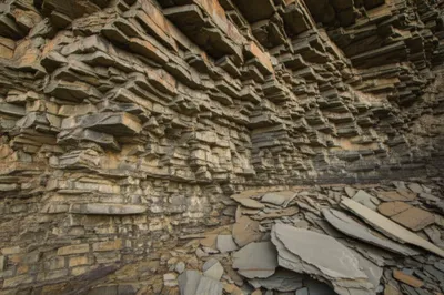 Illustration tabular - Image 1