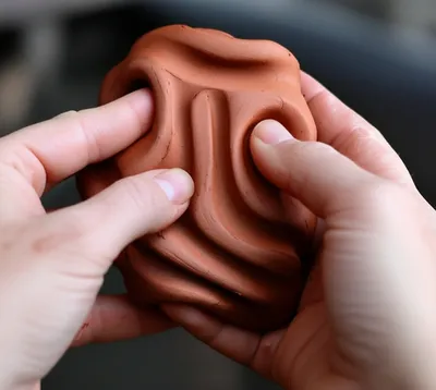 Illustration reshaping - Image 2