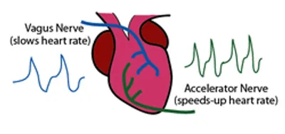 Illustration accelerator - Image 3