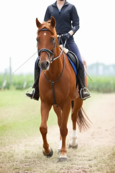 Illustration changing - Image 1