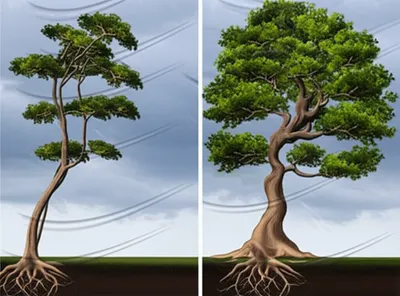 Illustration toughening - Image 1