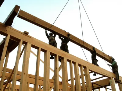 Illustration raising - Image 1