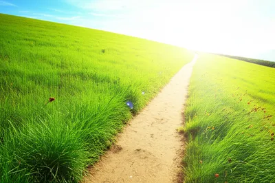 Illustration road - Image 1